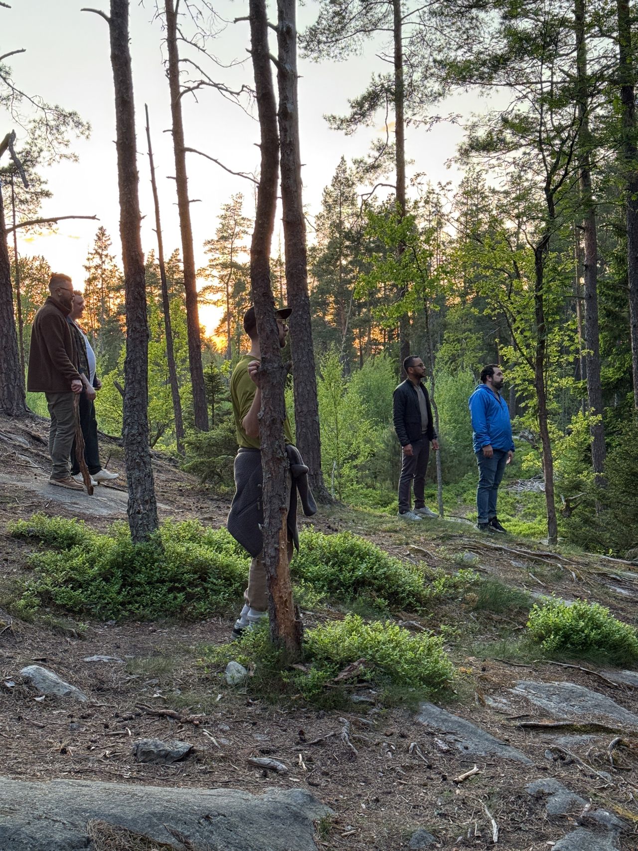 Hanging out in the forrest